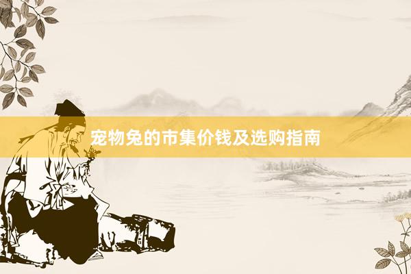 宠物兔的市集价钱及选购指南